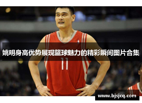 姚明身高优势展现篮球魅力的精彩瞬间图片合集